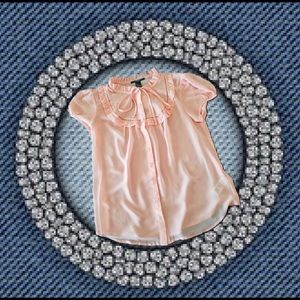 Sheer Pink Short Sleeve Button Down Blouse